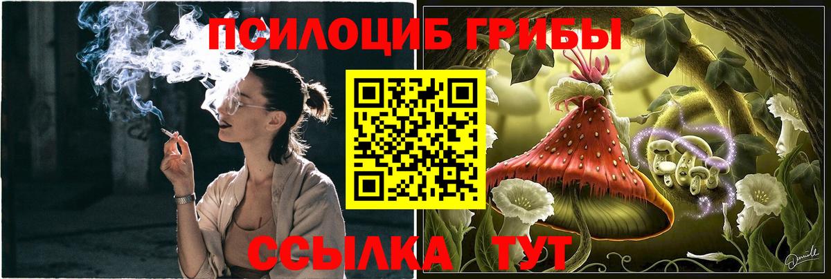Галлюциногенные грибы Psilocybe  Псилоцибиновые грибы ЛСД  Вход с VPN  Тобольск 